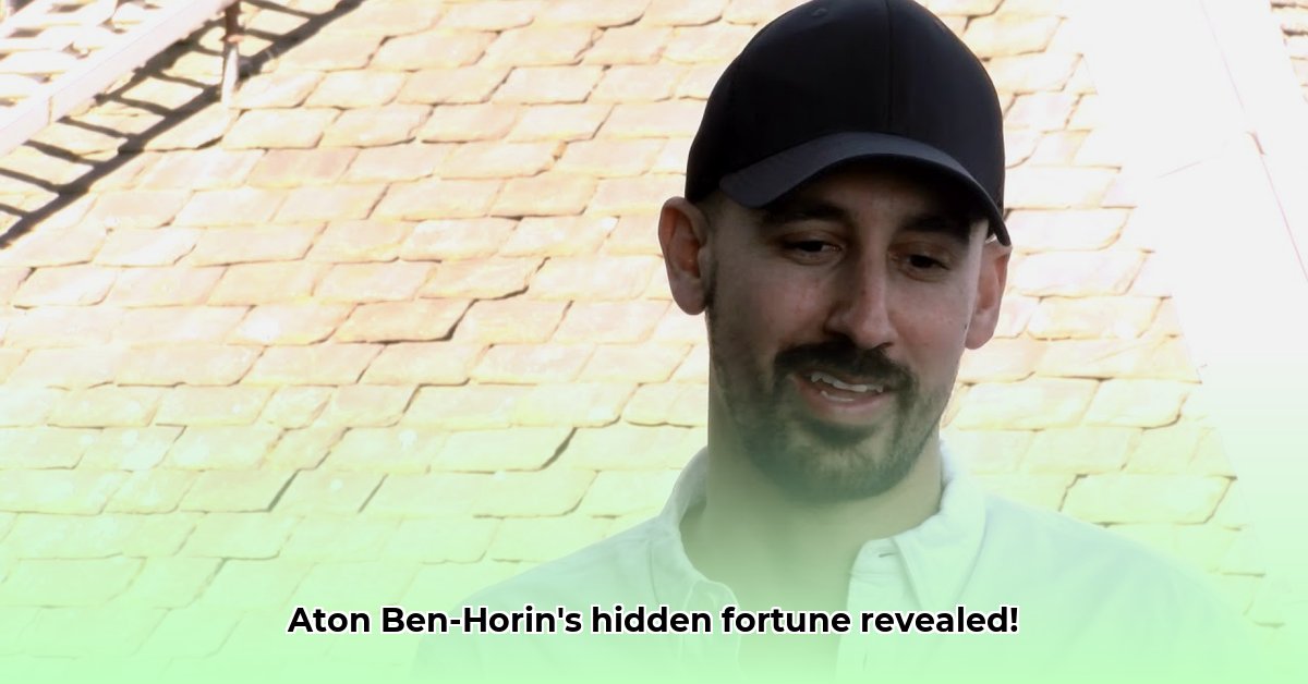 aton-ben-horin-net-worth